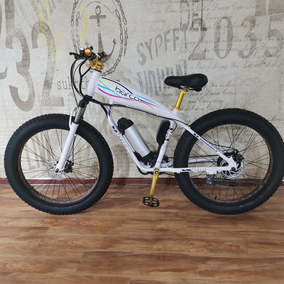 48V 500W Power Elektrische fiets voor het oefenen van het evenwicht en Retro Vintage Ebike Adventures