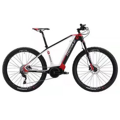 Elektrische stadsfiets met borstelloze motor Populaire stijl Full Carbon Fiber Road Bike
