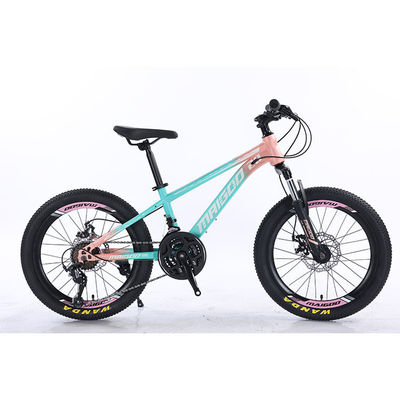 20 "21s Kids Bike Kinderenfiets met aangepast logo en aluminium legering velg materiaal