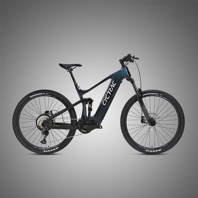 Disc Brake 160mm Electric Foldable Bike with Custom Design and 38T Cranksets