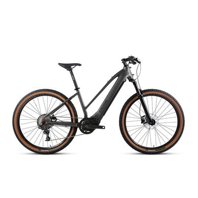 Elektrische fiets met 48V15Ah lithiumbatterie met M510 mid-drive motor en Sram NX onderdelen