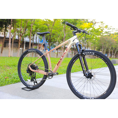 29 inch MTB Mountainbike Carbon Fiber Hard Frame Mountain Bike Speed Fietsen