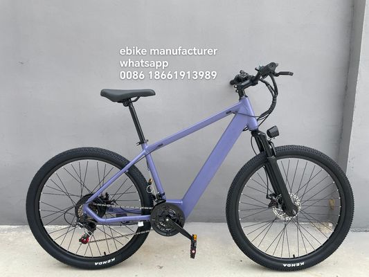 Professional Chinese E-Bike Manufacturer OEM/ODM Electric Mountain Bike pedal assist bike electric bike OEM bulk e-bikes