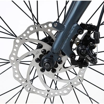 20 inch vouwbare elektrische fiets 36v 6 SPEED verwijderbare lithiumbatterie voor buitenfietsen