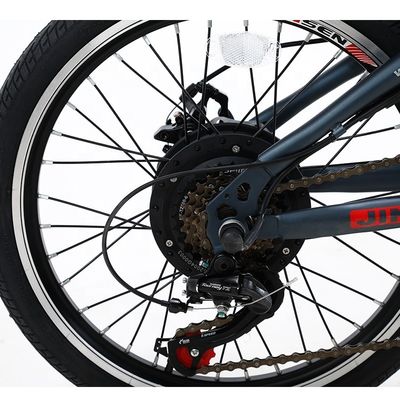20 inch vouwbare elektrische fiets 36v 6 SPEED verwijderbare lithiumbatterie voor buitenfietsen