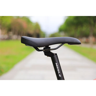 Gewone fiets voor 8 en 10 jarigen.