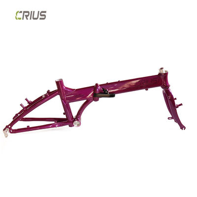 Racing lichtgewicht vouwfiets 20 inch 9 Speed Master V met aluminium legering vork