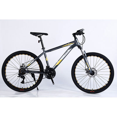 Ervaar de opwinding van de 24 Speed Fat Mountain Bike met dubbele rand en grote banden
