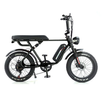 Volledige ophanging Achterhoek Motor Elektrische fiets met 48v 1000w vermogen en verwijderbare batterij
