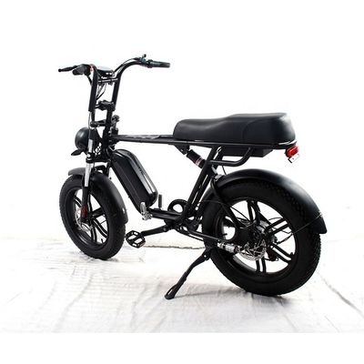 35kg Aluminium Frame Electric Fat Tire E Bike met lange afstand 48v 750W/1000W motor