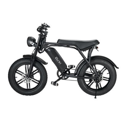 Krachtige 750W V8 motor 20 inch Fat Tire Electric Mountain Bike met 48V 15ah batterij