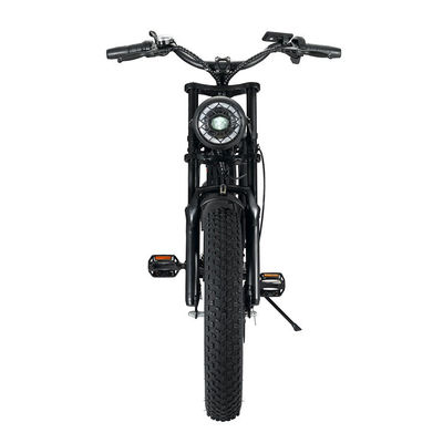 Krachtige 750W V8 motor 20 inch Fat Tire Electric Mountain Bike met 48V 15ah batterij