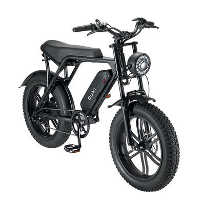 Krachtige 750W V8 motor 20 inch Fat Tire Electric Mountain Bike met 48V 15ah batterij