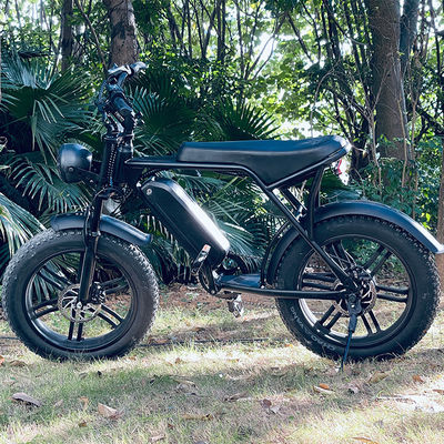 Krachtige 750W V8 motor 20 inch Fat Tire Electric Mountain Bike met 48V 15ah batterij