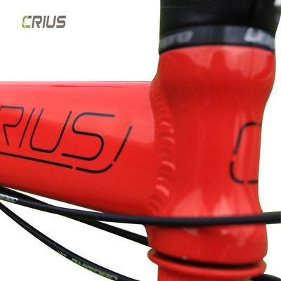 20 inch Crius vouwfiets V rem en 9 snelheid De perfecte combinatie voor buiten trainingen