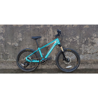 20 inch kinderfiets met suspensie vork en koolstofvezel frame weegt slechts 11kg