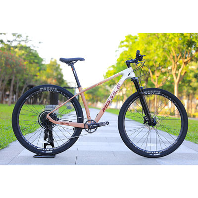 Aluminium Rim 24 Speed 29 Inch Carbon Mountain Bike voor berg avonturen