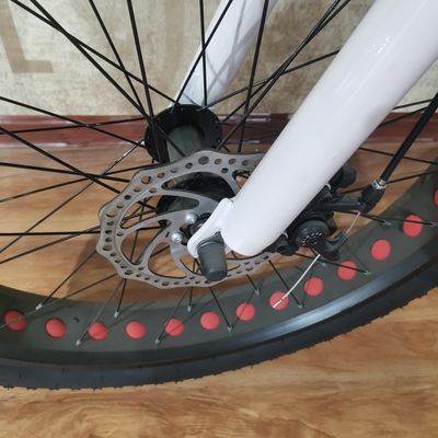 48V 500W Power Elektrische fiets voor het oefenen van het evenwicht en Retro Vintage Ebike Adventures