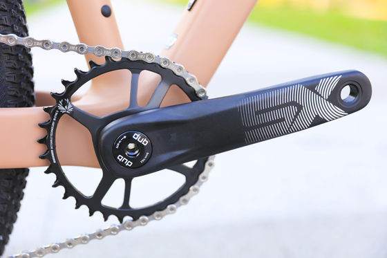 Aluminium Rim 24 Speed 29 Inch Carbon Mountain Bike voor berg avonturen