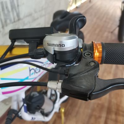48V 500W Power Elektrische fiets voor het oefenen van het evenwicht en Retro Vintage Ebike Adventures