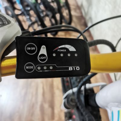 48V 500W Power Elektrische fiets voor het oefenen van het evenwicht en Retro Vintage Ebike Adventures