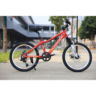 Meisjes Steel Frame Kinderfiets met Suspension Vork en GEEN trainingswielen