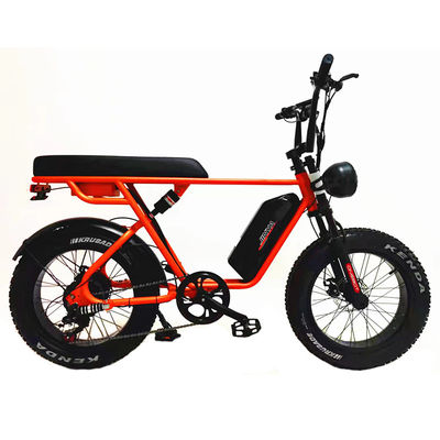 Outdoor Adventure 20*4.0 Kenda Fat Tire Double Disc Brake Mountain Bike voor tieners