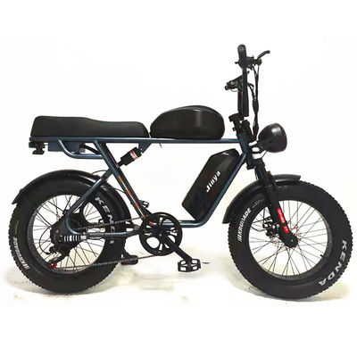 Outdoor Adventure 20*4.0 Kenda Fat Tire Double Disc Brake Mountain Bike voor tieners