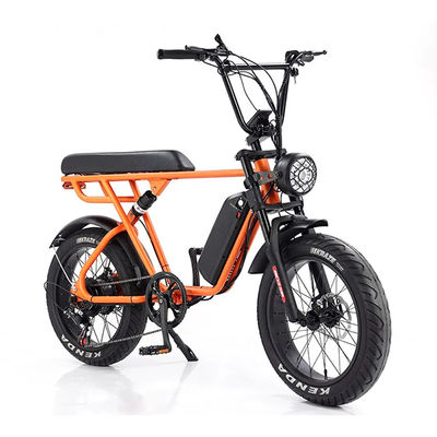 Outdoor Adventure 20*4.0 Kenda Fat Tire Double Disc Brake Mountain Bike voor tieners