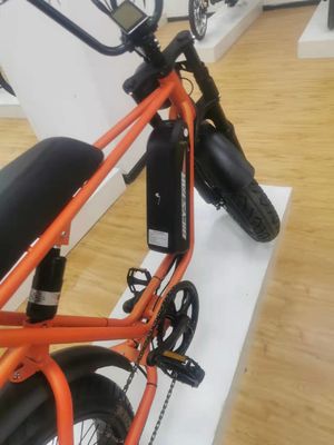 Outdoor Adventure 20*4.0 Kenda Fat Tire Double Disc Brake Mountain Bike voor tieners