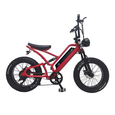 E-bike Fat Tire 48V10Ah Lithiumbatterijsnelheid 500W Borstelloze Spoke Motor voor sneeuwscooters