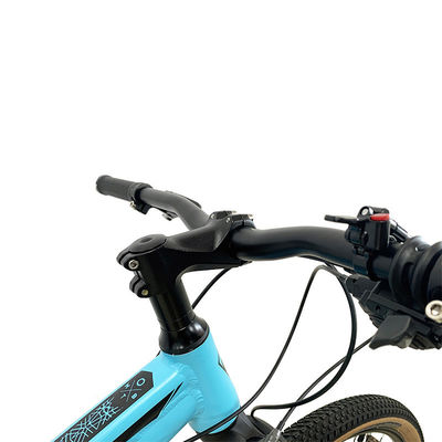 Alloy Cassette 29 Inch Mountain Bike met Hydraulische Scheerrem en Aluminium Alloy Frame