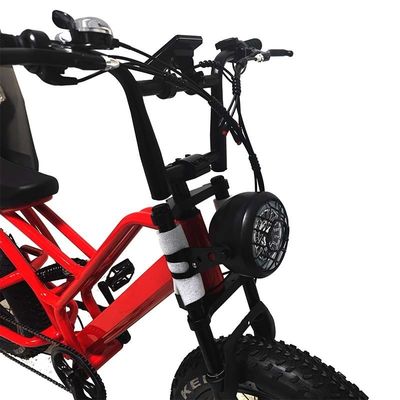 E-bike Fat Tire 48V10Ah Lithiumbatterijsnelheid 500W Borstelloze Spoke Motor voor sneeuwscooters