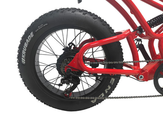 E-bike Fat Tire 48V10Ah Lithiumbatterijsnelheid 500W Borstelloze Spoke Motor voor sneeuwscooters