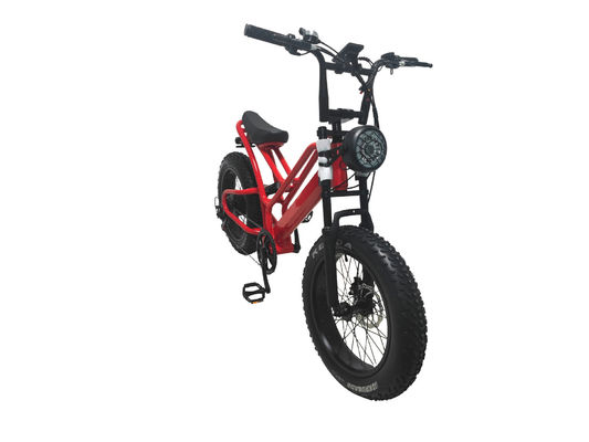 E-bike Fat Tire 48V10Ah Lithiumbatterijsnelheid 500W Borstelloze Spoke Motor voor sneeuwscooters