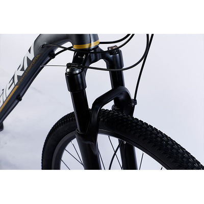 Vervaardiging van 12-versnellingsbanden bergfiets met dubbele wandrand en klassiek ontwerp