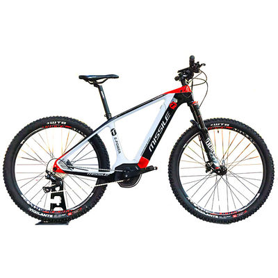 Elektrische stadsfiets met borstelloze motor Populaire stijl Full Carbon Fiber Road Bike