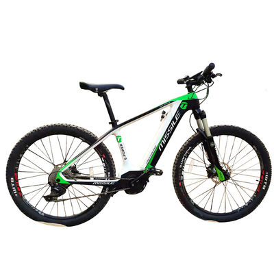 Elektrische stadsfiets met borstelloze motor Populaire stijl Full Carbon Fiber Road Bike