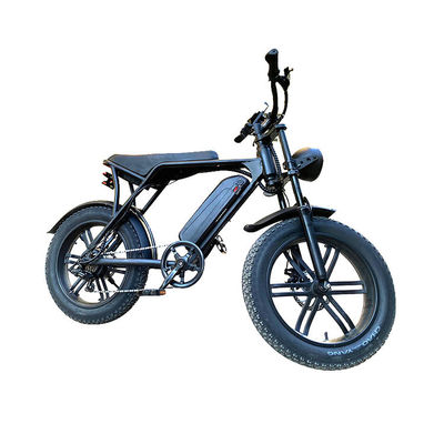 Elektrische Fat Tire Snow Beach E-Bike met dubbele schijfrem en lithiumbatterie