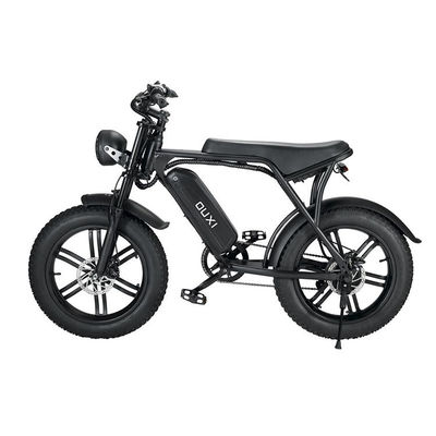 Elektrische Fat Tire Snow Beach E-Bike met dubbele schijfrem en lithiumbatterie