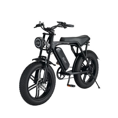 Elektrische Fat Tire Snow Beach E-Bike met dubbele schijfrem en lithiumbatterie
