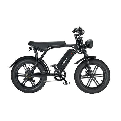 Elektrische Fat Tire Snow Beach E-Bike met dubbele schijfrem en lithiumbatterie
