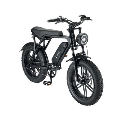 Elektrische Fat Tire Snow Beach E-Bike met dubbele schijfrem en lithiumbatterie