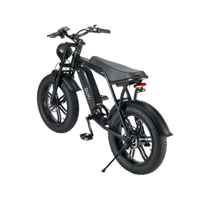 Elektrische Fat Tire Snow Beach E-Bike met dubbele schijfrem en lithiumbatterie