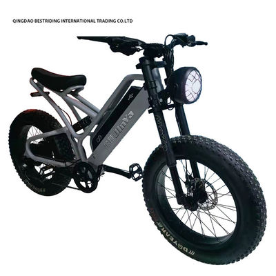 Mechanische schijfrem Elektrische fiets 48v 500w Motor Ebike 2 wiel 20 inch dikke band
