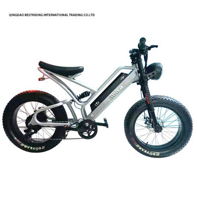 Mechanische schijfrem Elektrische fiets 48v 500w Motor Ebike 2 wiel 20 inch dikke band