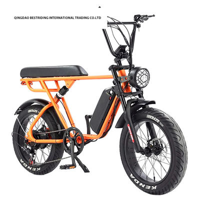 20 inch Fat Tire Ebike 48V 1000W Elektrische Mountainbike voor milieuvriendelijk pendelen
