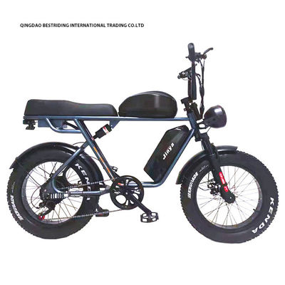 Custom 48V 1000W elektrische fiets 20 inch Fat Tire Ebike met en 52V Lithiumbattery Charger