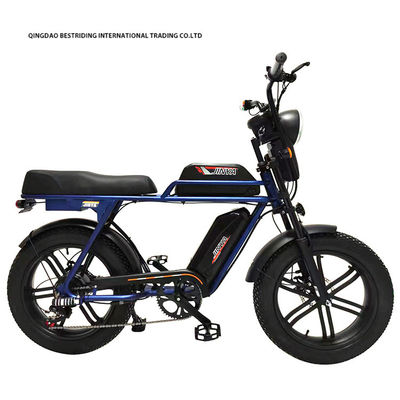 Custom 48V 1000W elektrische fiets 20 inch Fat Tire Ebike met en 52V Lithiumbattery Charger
