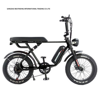 Custom 48V 1000W elektrische fiets 20 inch Fat Tire Ebike met en 52V Lithiumbattery Charger